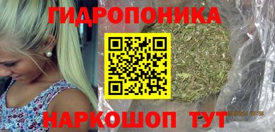 индика Пугачёв