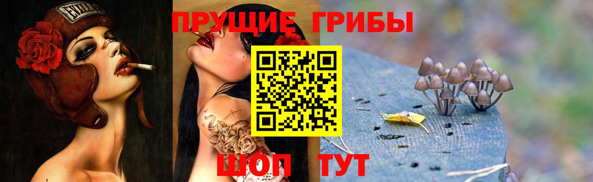 Псилоцибиновые грибы Psilocybe  Вход с VPN  Уварово 